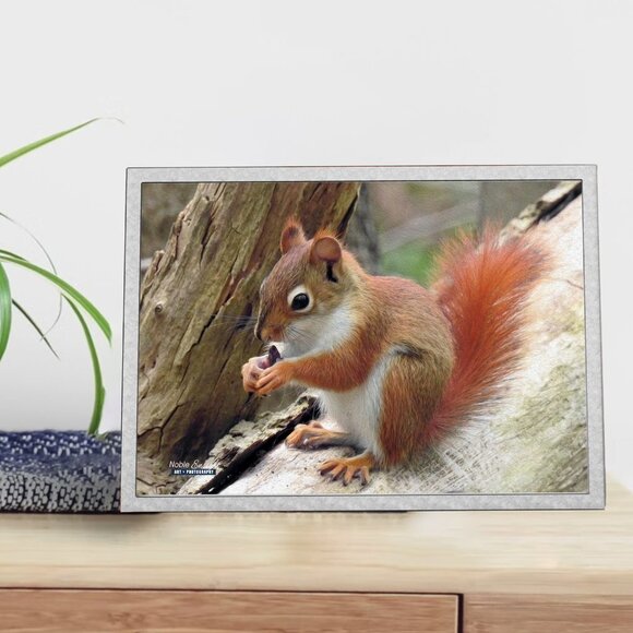 4x6 Cute Squirrel Eating Gorgeous Oil Painting Art Print - Picture 3 of 3